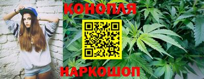 соль ск Шахты